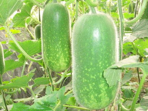 抱着王冰冰吃瓜图,温馨抱抱引发网友热议