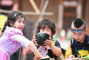 夏天萌娃吃瓜图片,夏日萌娃欢乐瓜园记