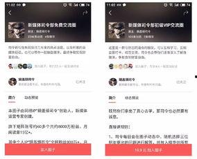 头条圈子功能从哪里进入,探索头条圈子，发现精彩内容新天地